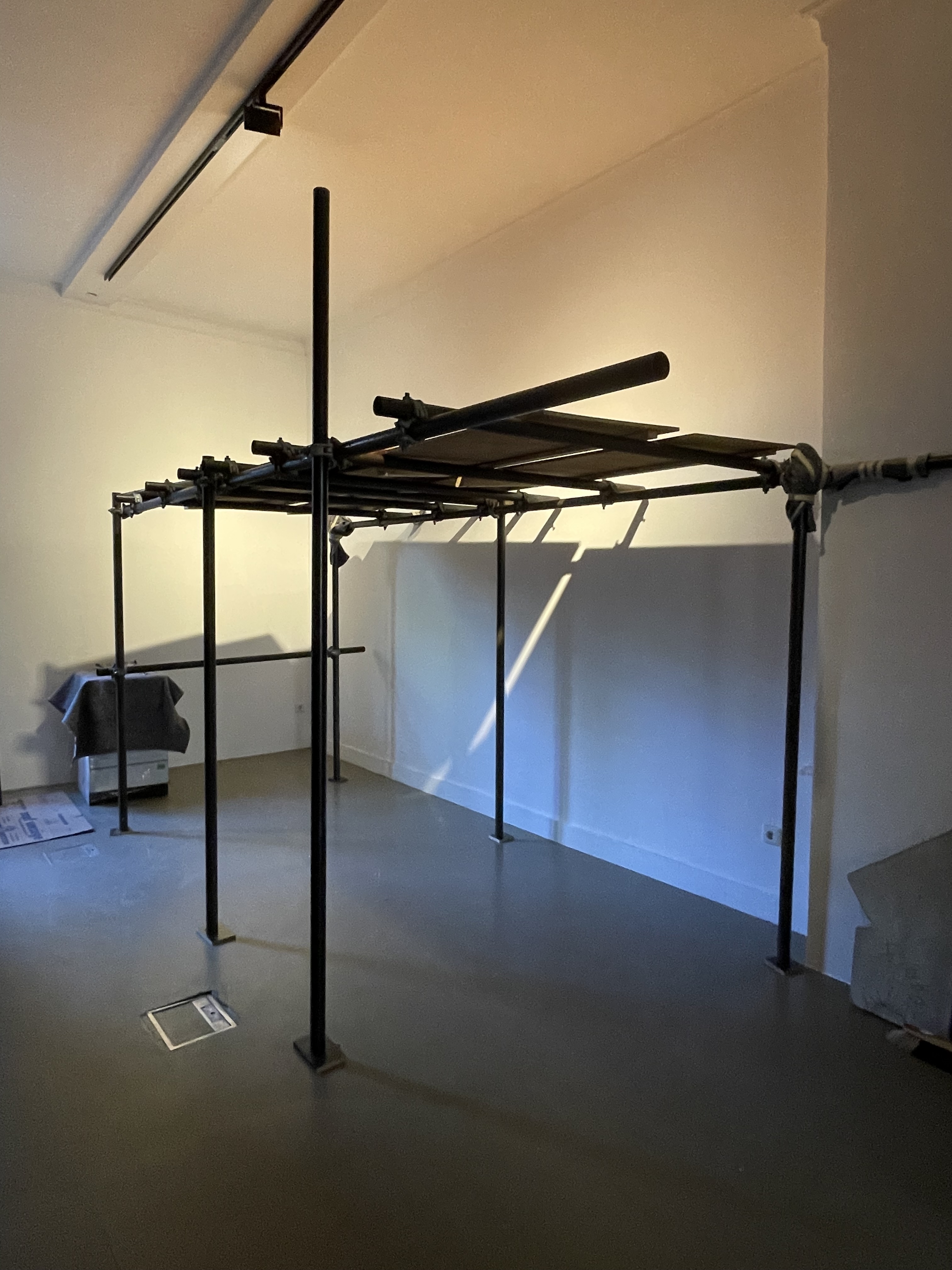 Portrait image for Northern Blizzard Ball Sale